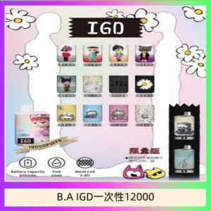 B.A IGD12000口 電子煙
