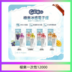 【8種口味】極楽 12000口一次性電子煙|超大容量 |口感絲滑|新品